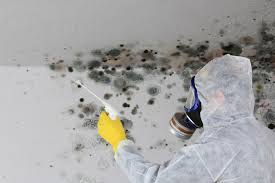 Best Forensic Mold Investigation  in Ontario, CA